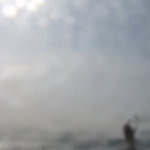 wingspan (4970)