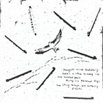 dharma - - - nature field notes
